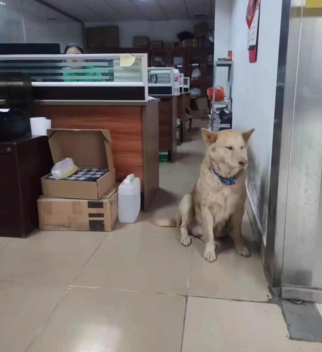 DƬ